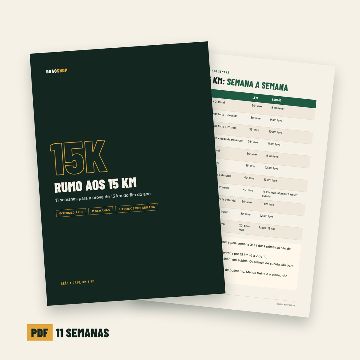 Planilha Rumo aos 15 km em PDF