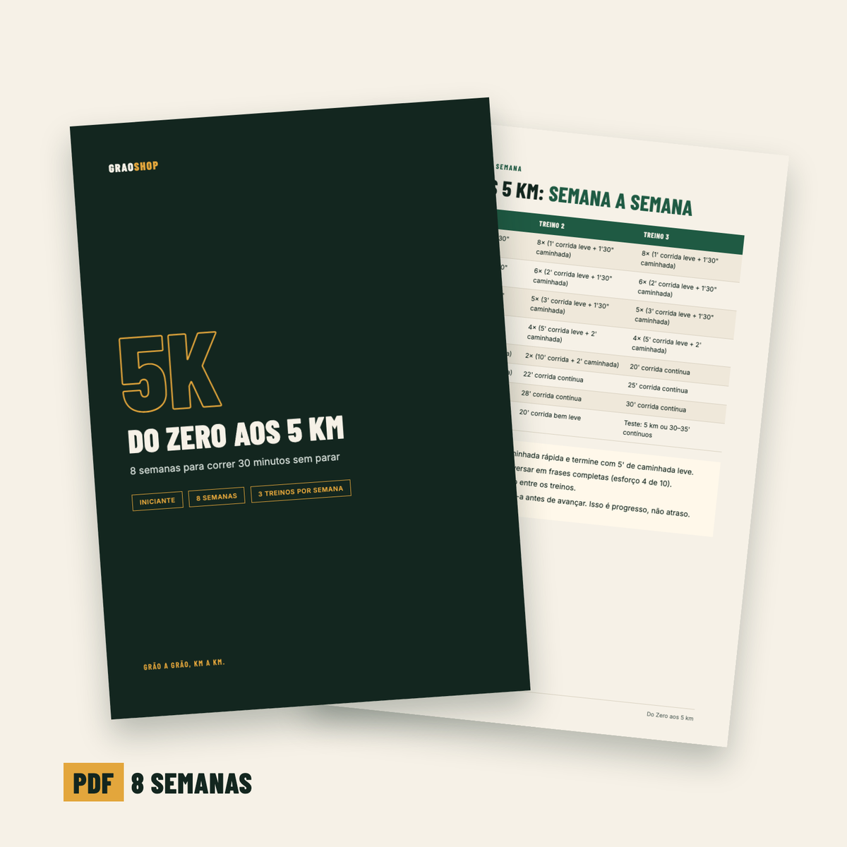 Planilha Do Zero aos 5 km em PDF